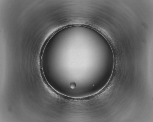 X0000111170942200907081212