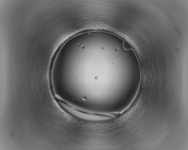 X0000111170943200907081212