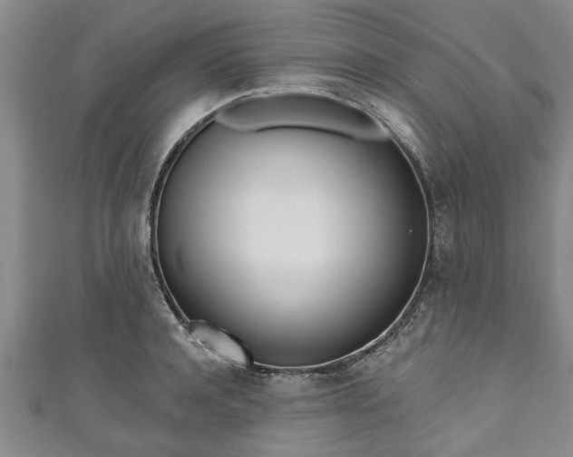 X0000111170944200907081212