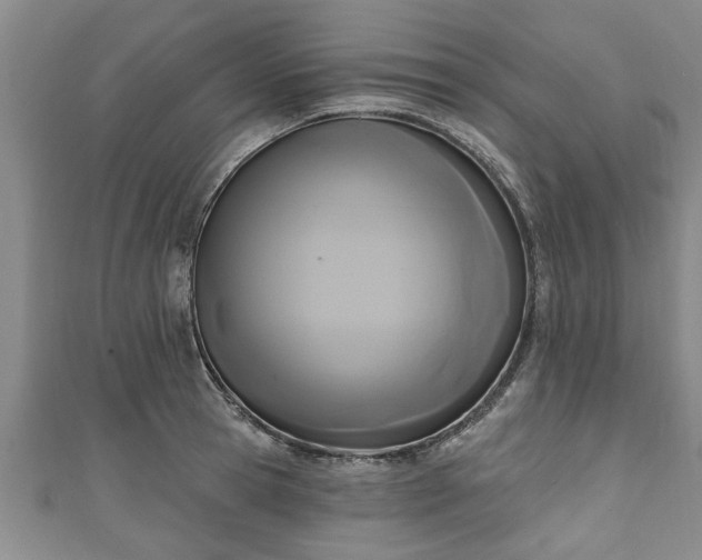 X0000111170945200907081212