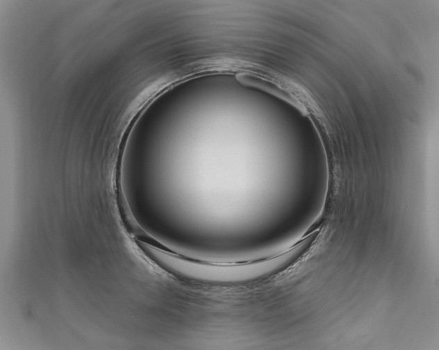 X0000111170946200907081212