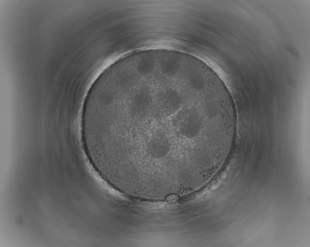 X0000111170949200907081212