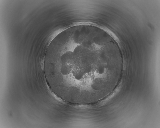 X0000111170953200907081212