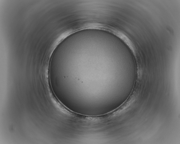 X0000111170954200907081212