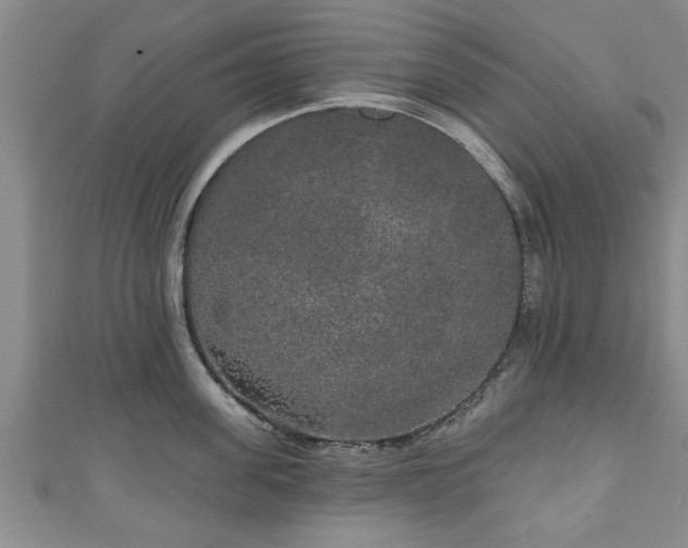 X0000111170955200907081212