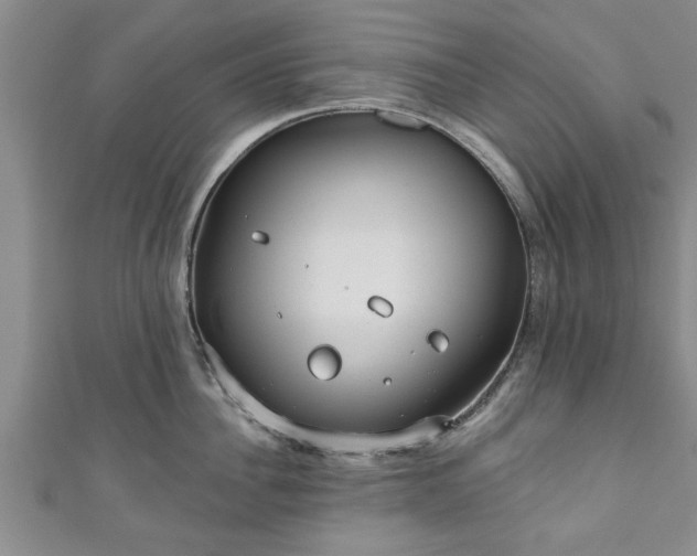 X0000111170956200907081212