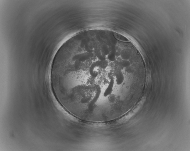 X0000111170957200907081212