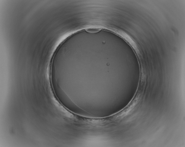 X0000111170958200907081212