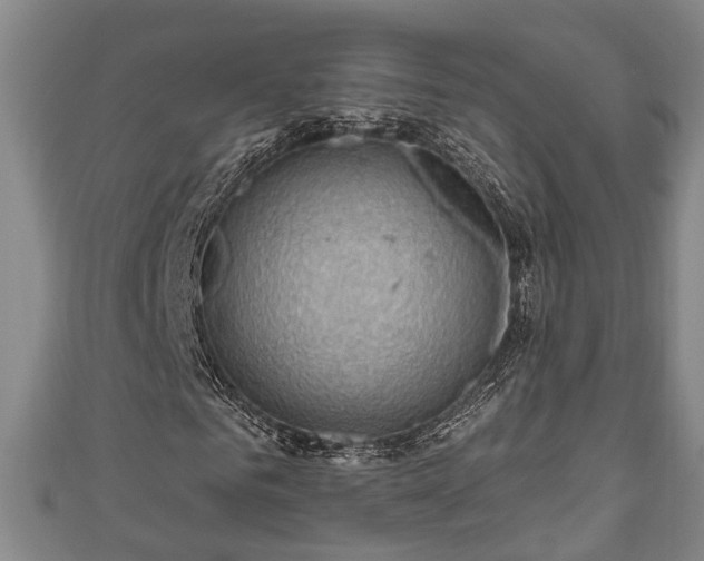 X0000111170961200907081211