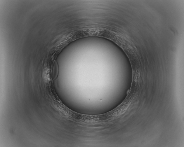 X0000111170962200907081211