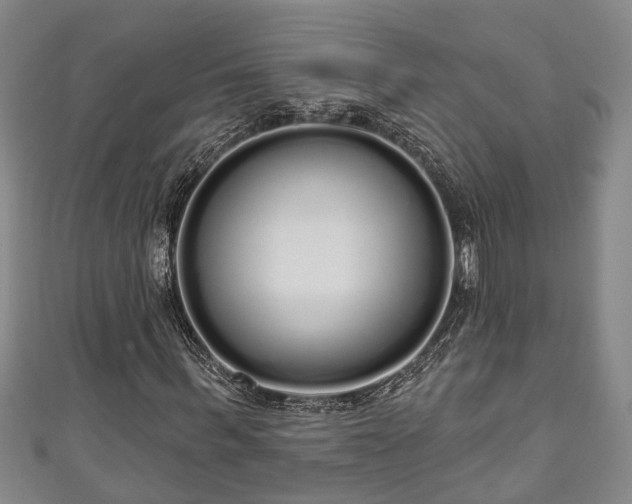 X0000111170963200907081211