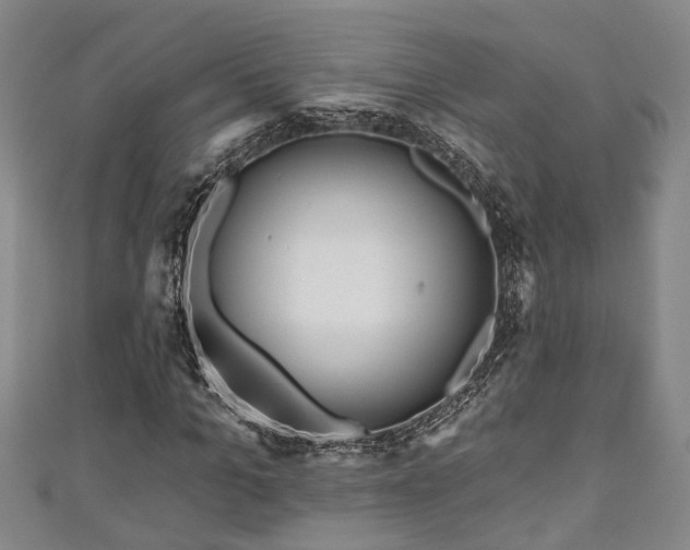 X0000111170965200907081211