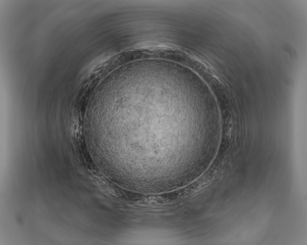 X0000111170966200907081211