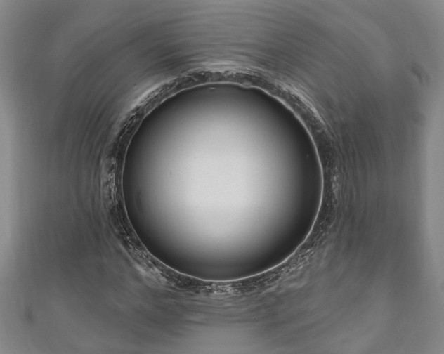 X0000111170968200907081211