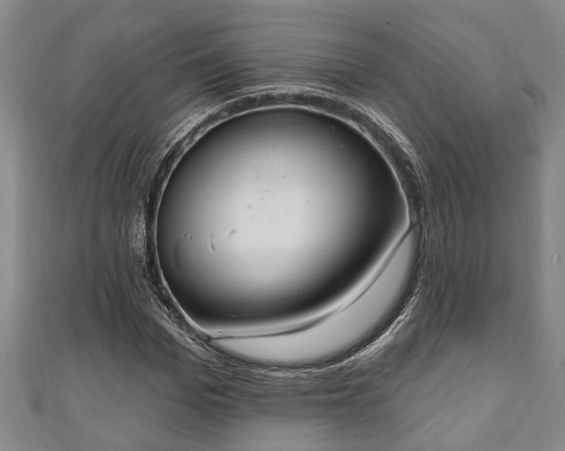 X0000111170969200907081211