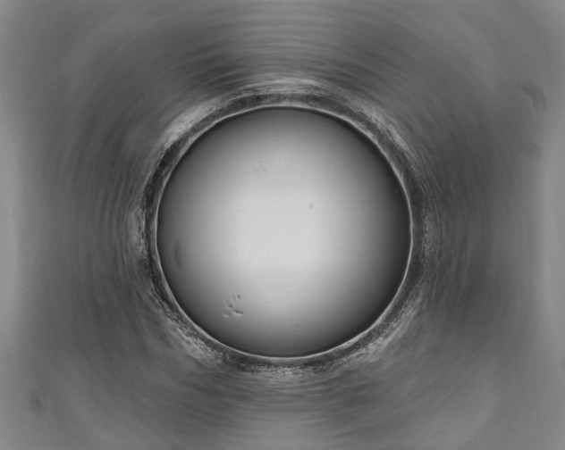 X0000111170970200907081211