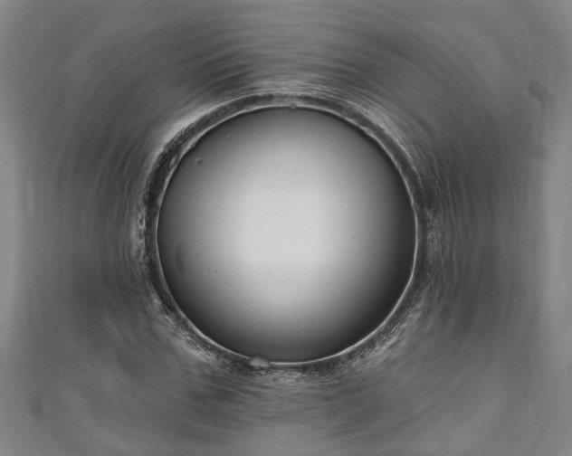 X0000111170971200907081211