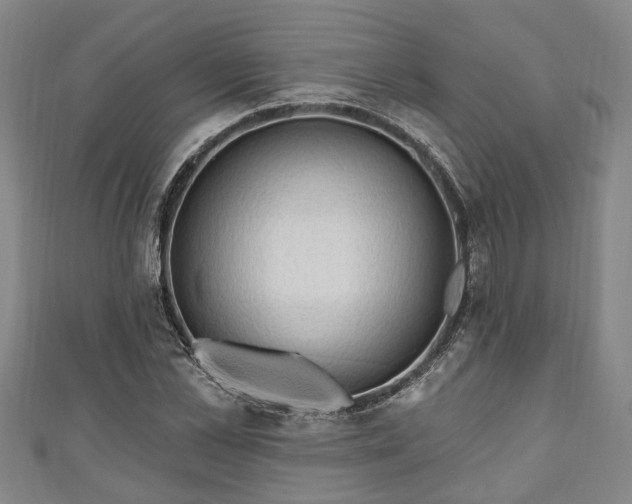 X0000111170973200907081211