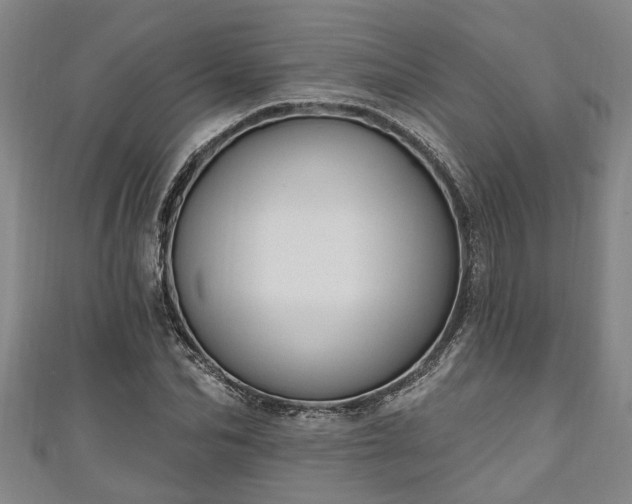 X0000111170974200907081211