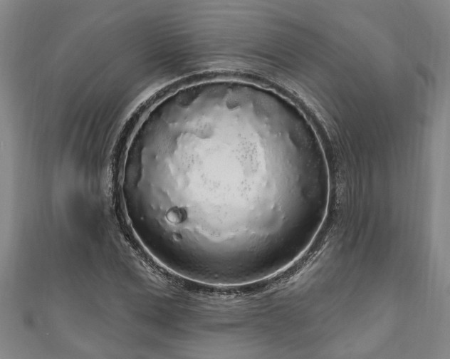 X0000111170975200907081211