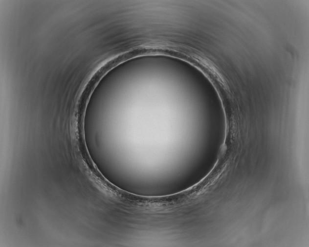 X0000111170976200907081211