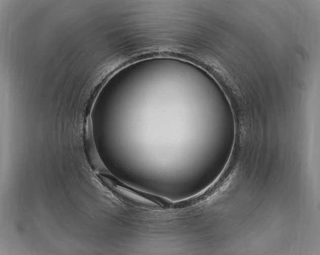 X0000111170977200907081211