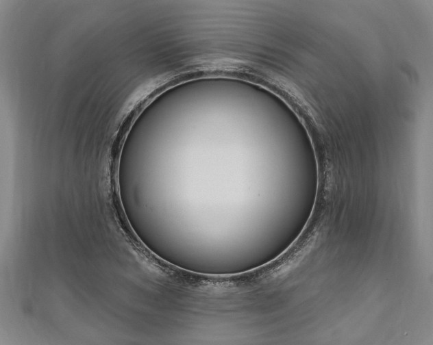 X0000111170978200907081211