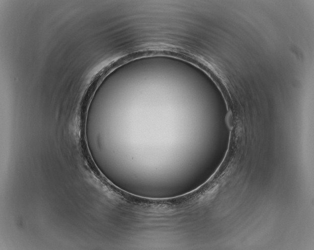 X0000111170979200907081211