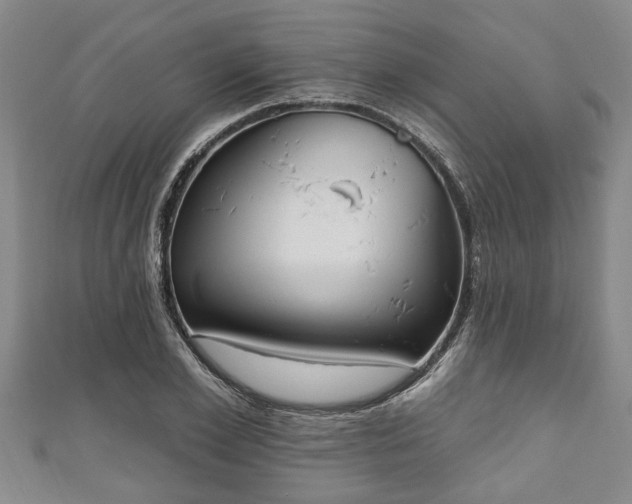 X0000111170981200907081211