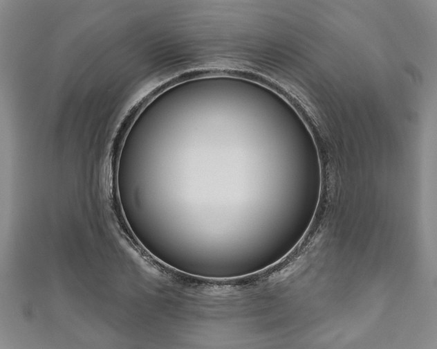 X0000111170982200907081211