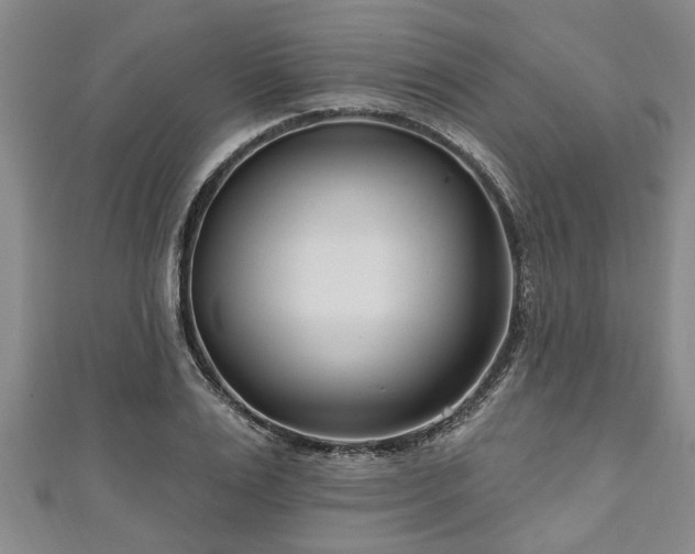 X0000111170983200907081211