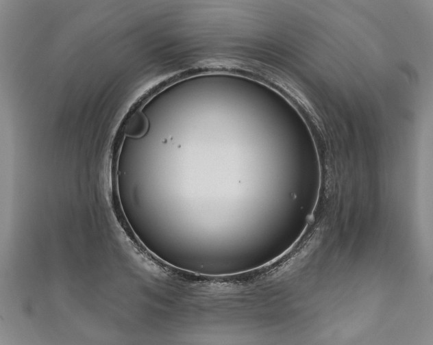 X0000111170984200907081211