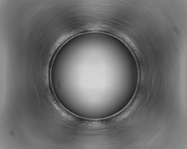 X0000111170986200907081211