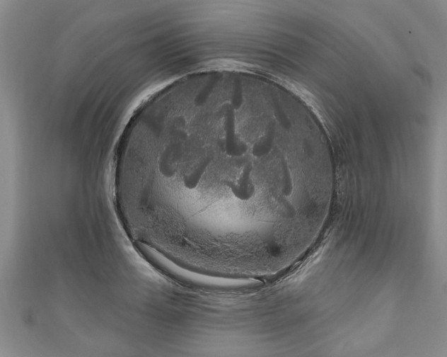 X0000111170987200907081211