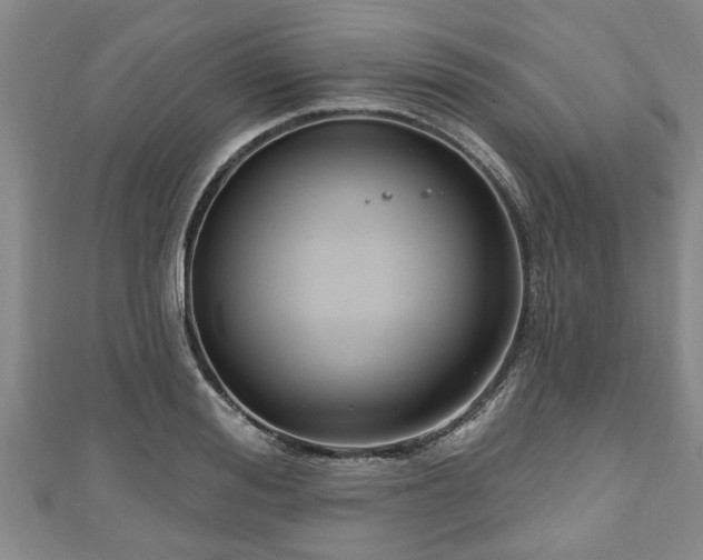 X0000111170988200907081211