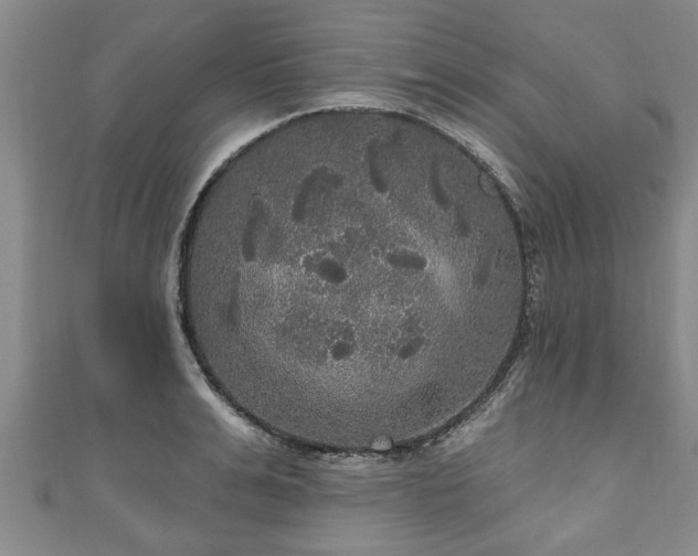 X0000111170991200907081211