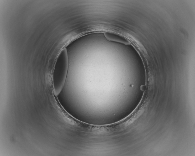 X0000111170993200907081211