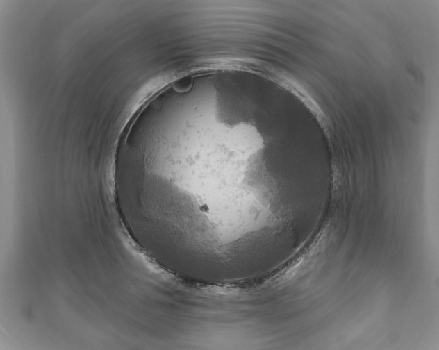 X0000111170994200907081211