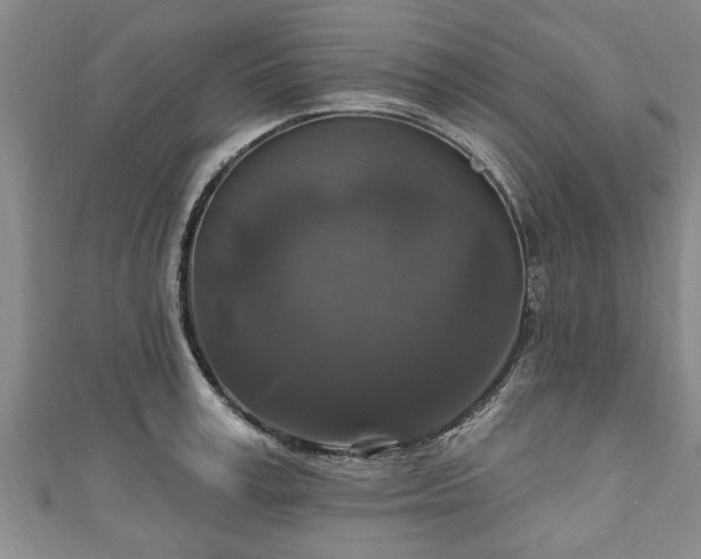 X0000111170995200907081211