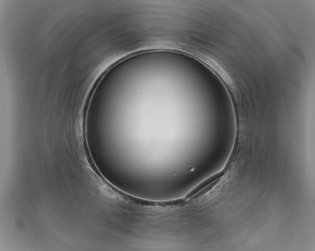 X0000111170996200907081211