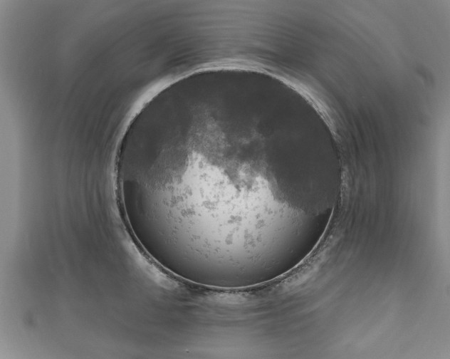 X0000111170998200907081211