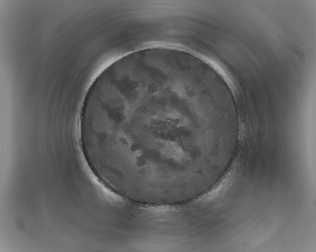 X0000111170999200907081211