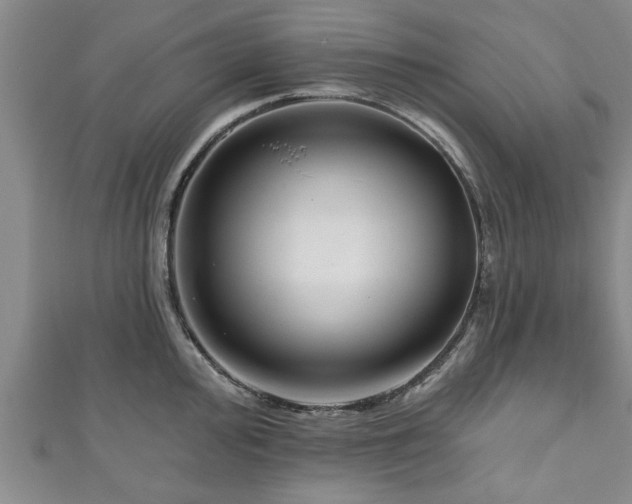 X0000111171000200907081211