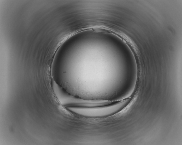 X0000111171001200907081211