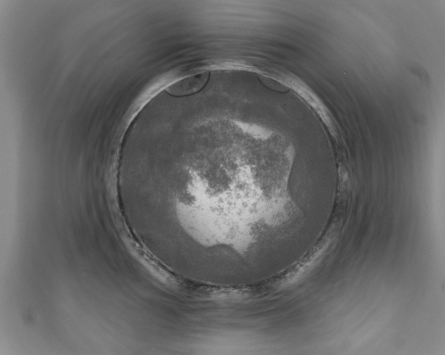 X0000111171002200907081211