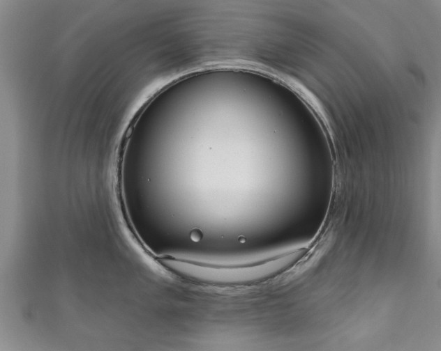 X0000111171005200907081211