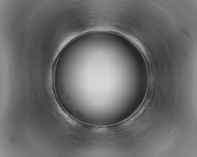 X0000111171006200907081211