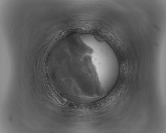 X0000111171009200907081210