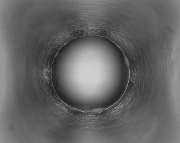 X0000111171010200907081210