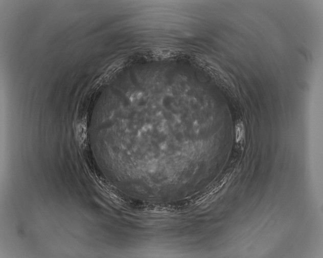 X0000111171011200907081210